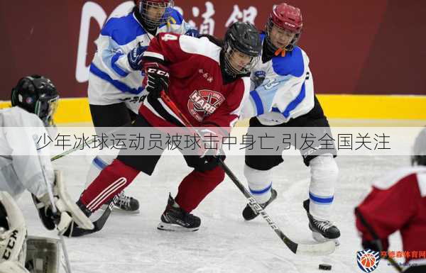 少年冰球运动员被球击中身亡,引发全国关注