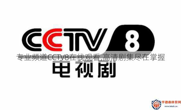 专业频道CCTV8在线观看,高清剧集尽在掌握