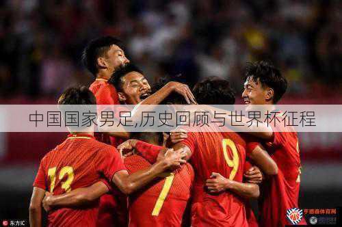 中国国家男足,历史回顾与世界杯征程