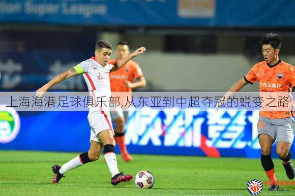 上海海港足球俱乐部,从东亚到中超夺冠的蜕变之路