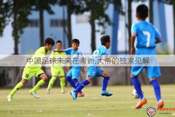 中国足球未来在青训,大帝的独家见解