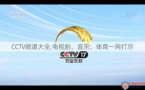 CCTV频道大全,电视剧、音乐、体育一网打尽