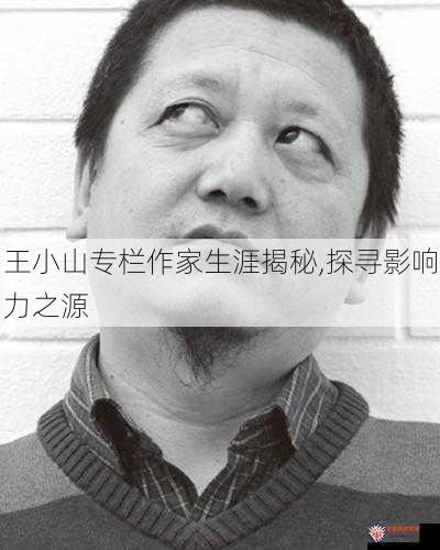 王小山专栏作家生涯揭秘,探寻影响力之源