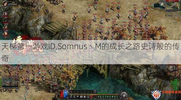 天梯第一游戏ID,Somnus丶M的成长之路史诗般的传奇