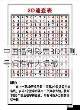 中国福利彩票3D预测,号码推荐大揭秘